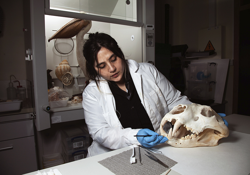 El MUVHN y el Museo Nacional de Historia Natural de Chile refuerzan su colaboración en conservación, investigación y divulgación del patrimonio natural